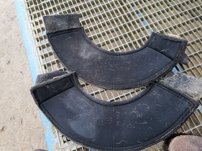 BR Dressurgamaschen+ Glocken, BR Schwarz/ Kroko , Judith, Tendon Boots, Kleve, Image 19