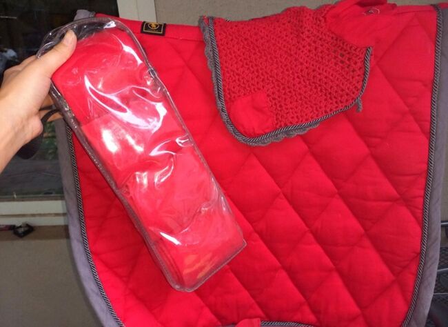 BR Event Set in DL, BR Event , N.Enderle, Dressage Pads, Beckingen