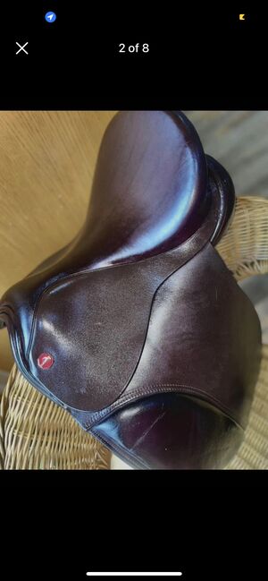 Brand new Stunning English leather pony saddle, Grange , Claire Ryan , All Purpose Saddle, Falkirk, Image 2