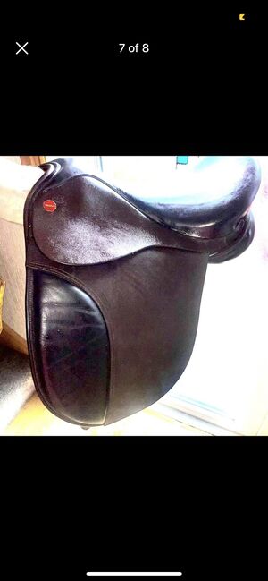 Brand new Stunning English leather pony saddle, Grange , Claire Ryan , All Purpose Saddle, Falkirk, Image 8