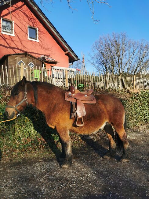 Neuwertiger Marken-Westernsattel ROYAL KING für Kaltblut u.ä, Royal King  Westernsattel , Alex H. , Western Saddle, Witten, Image 13