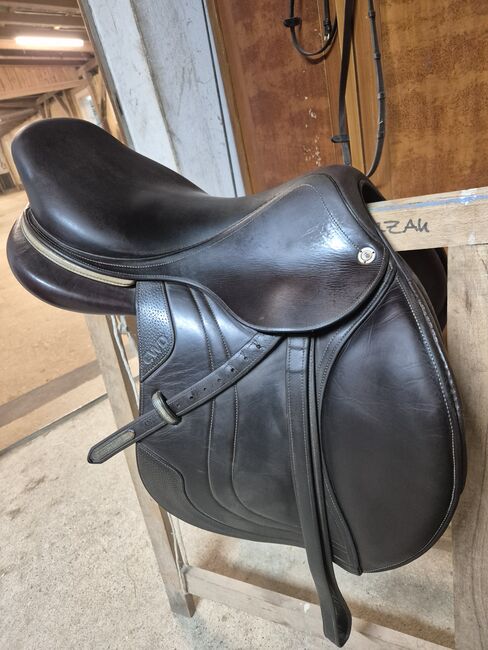 Brauner CWD Sattel, CWD SE02, Angela, Springsattel, Bischofstetten