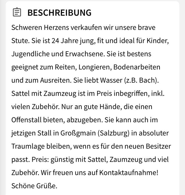 Braves Freizeitpferd zu vergeben!, Katharina , Pferd kaufen, Großgmain , Abbildung 3