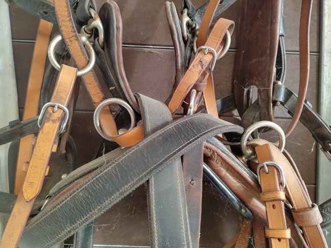 Brustblattgeschirr 2-spännig, Katrin, Horse Harness, Höchstetten