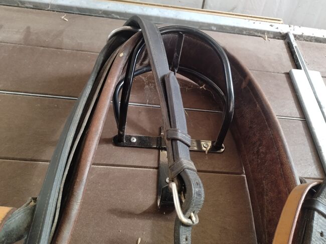 Brustblattgeschirr 2-spännig, Katrin, Horse Harness, Höchstetten, Image 2