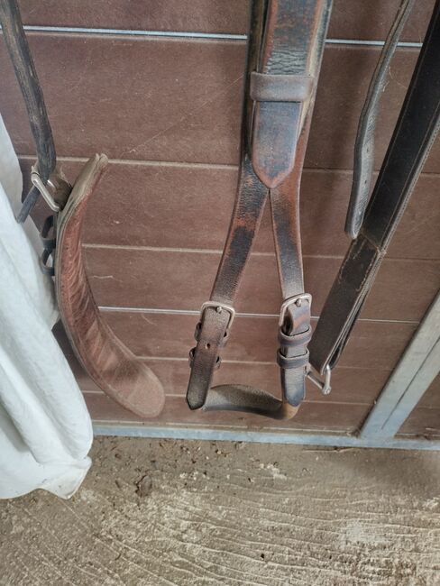 Brustblattgeschirr 2-spännig, Katrin, Horse Harness, Höchstetten, Image 3