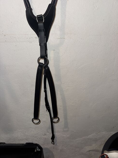 Vorderzeug Pony Cob, Anna H, Training Aids, Essen