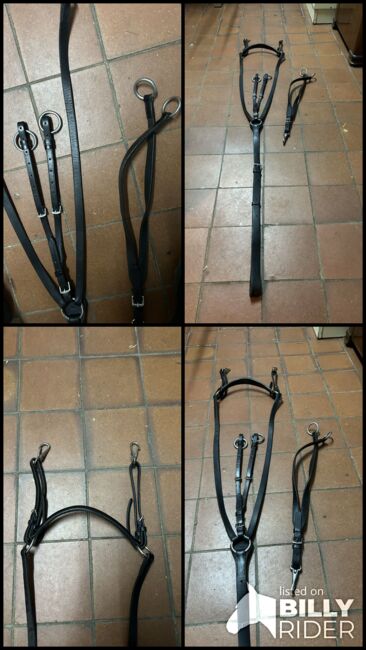Vorderzeug, Geraldine Wiedemann, Training Aids, Leubsdorf, Image 5