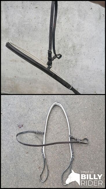 Vorderzeug, Vorderzeug, Dolores, Saddle Accessories, Oed am Seichten Graben, Image 3