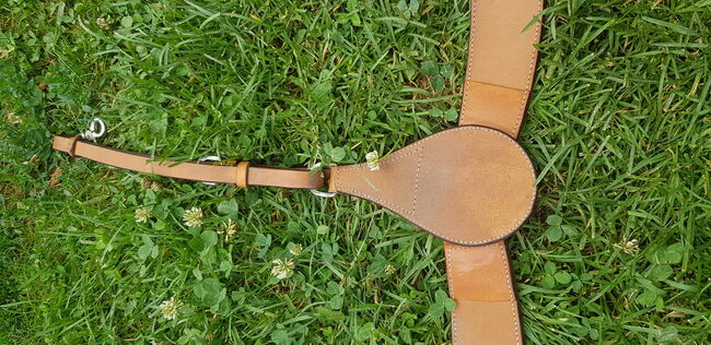 Vorderzeug Western kleines Kaltblut Haflinger Tinker, Eva, Saddle Accessories, Haibach, Image 4