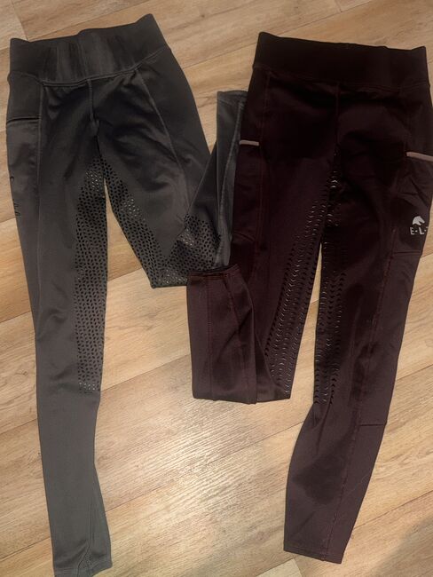 Reithosen verschiedene farben/Modele, Equilbre, Felix Bühler usw, Jana, Breeches & Jodhpurs, Neudrossenfeld