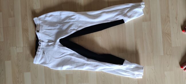 Reithose mit Vollbesatz, Claudia Hotter, Breeches & Jodhpurs, Niederbreitenbach