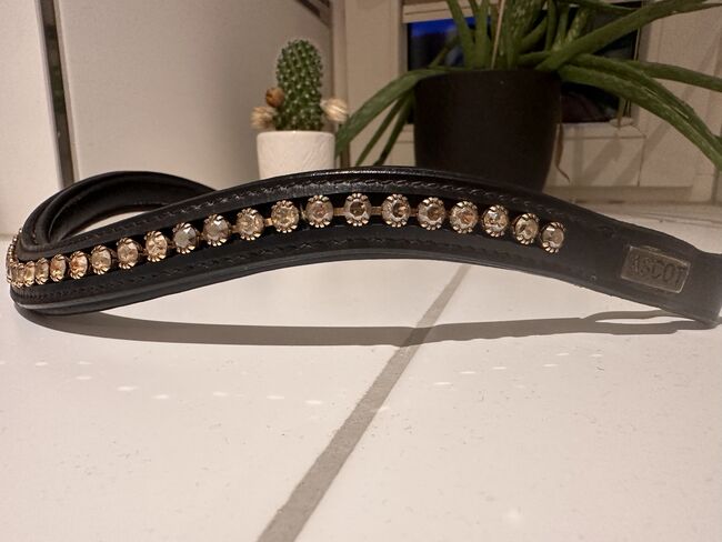 Stirnriemen Ascot WB, Ascot, Liesa, Browbands, Bregenz, Image 3