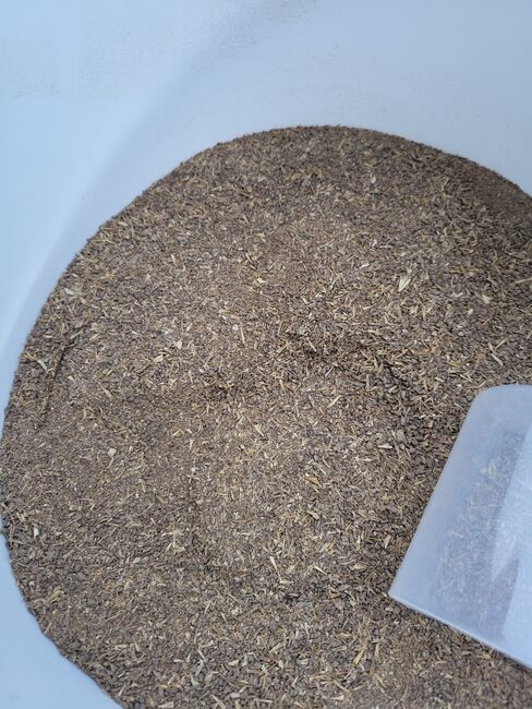 Bierhefe pulver pferd, Ani forte  Futter , Marina Frank , Horse Feed & Supplements, Ulm, Image 2