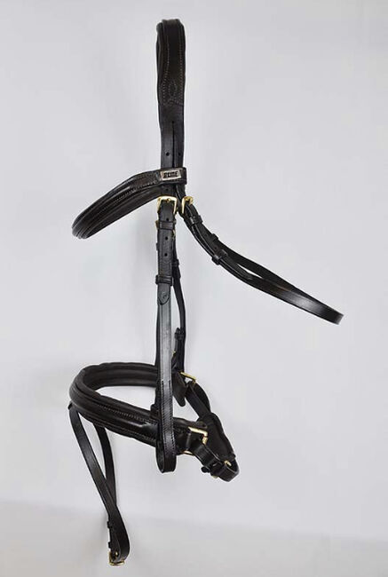 Neuwertige Trense, B-Line Trensenzaum Danny, Alea Wollseif, Bridles & Headstalls, Hamburg , Image 3