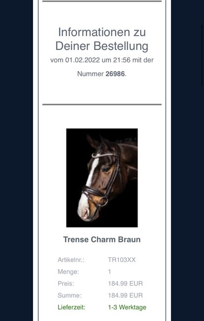 Trense Charm Braun von Bridely, Bridely, Kerstin Schöll, Bridles & Headstalls, Allersberg 