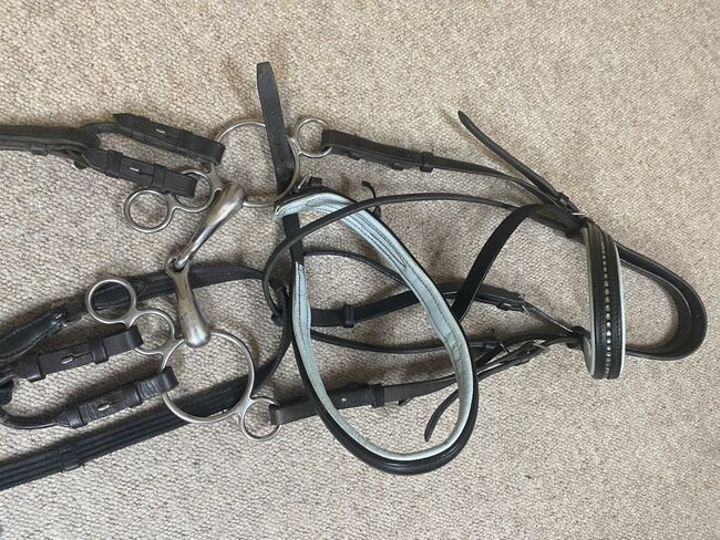 Bridle cob size with blue sparkled brow band, Sue Giles, Bridles & Headstalls, York, Image 3