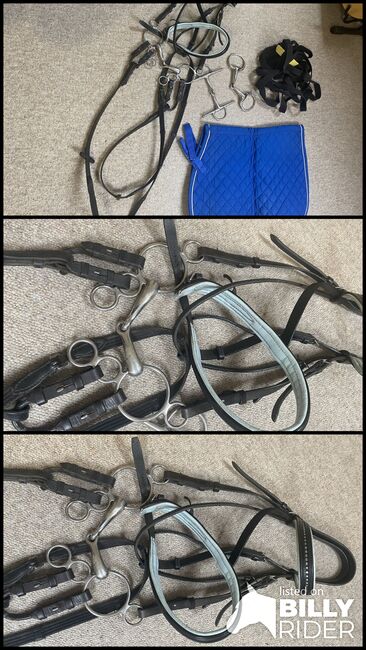 Bridle cob size with blue sparkled brow band, Sue Giles, Bridles & Headstalls, York, Image 4