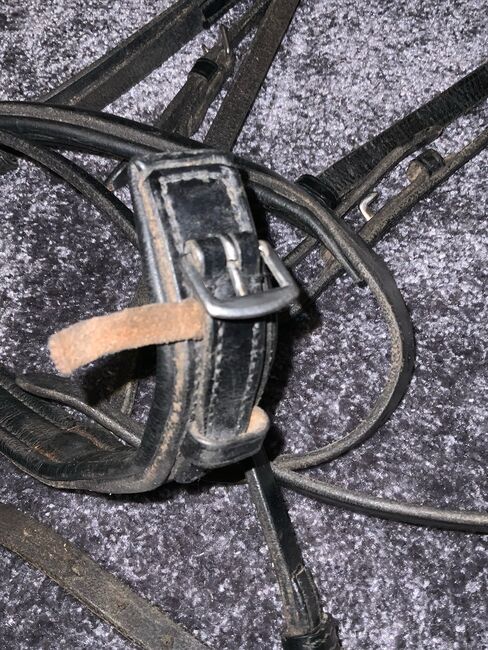 Zaumzeug Englisch Kombiniert, Stephanie , Bridles & Headstalls, Graz , Image 3