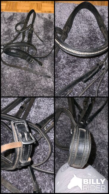 Zaumzeug Englisch Kombiniert, Stephanie , Bridles & Headstalls, Graz , Image 5