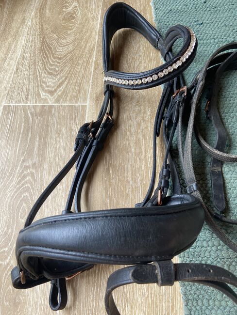 Zaumzeug Englisch kombiniert, Stephanie , Bridles & Headstalls, Graz , Image 3