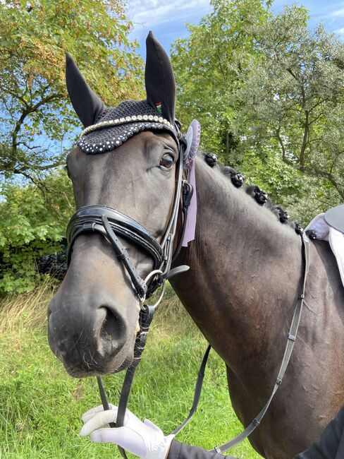 Trense der Marke Bridlery, Bridlery  Classic , Madeleine Zeller, Bridles & Headstalls, Oberursel 