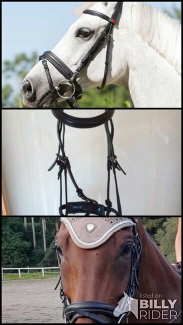 Zaumzeug von Kieffer: Ultrasoft Economy, Kieffer Ultrasoft Economy, Angela Bischof, Bridles & Headstalls, Obdach, Image 4