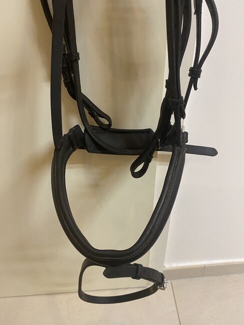 Zaumzeug Kieffer Full, Kieffer, Liesa, Bridles & Headstalls, Bregenz, Image 3