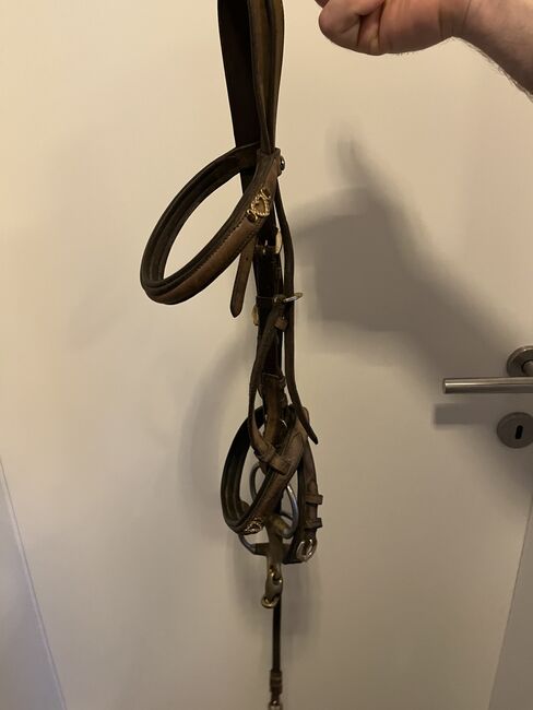 Zaumzeug Norton, Melanie Treul, Bridles & Headstalls, Kematen am Innbach 