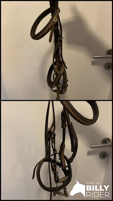 Zaumzeug Norton, Melanie Treul, Bridles & Headstalls, Kematen am Innbach , Image 3