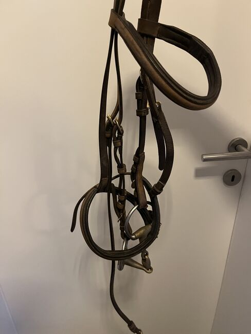 Zaumzeug Norton, Melanie Treul, Bridles & Headstalls, Kematen am Innbach , Image 2