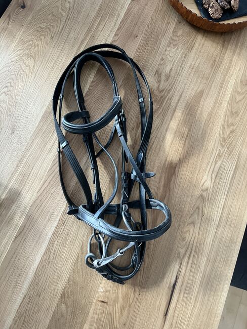Zaumzeug/Trense, Sandra Kappel, Bridles & Headstalls, Kramsach
