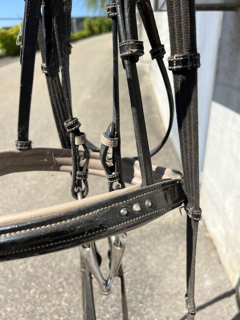 Zaum mit Bling bling, Regula Renggli , Bridles & Headstalls, Eglisau, Image 2