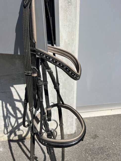 Zaum mit Bling bling, Regula Renggli , Bridles & Headstalls, Eglisau, Image 4