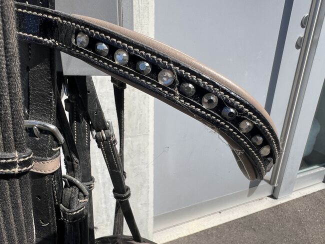 Zaum mit Bling bling, Regula Renggli , Bridles & Headstalls, Eglisau, Image 3
