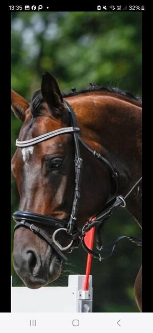 Zaum mit Glitzerstirnband, Tamara Schmid, Bridles & Headstalls, Niederurnen, Image 2