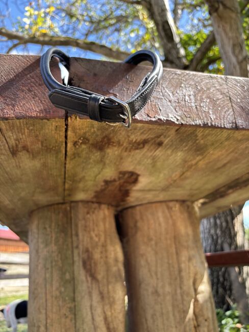 Bridlery Trense Leave, Bridlery, Anne-Maria Pehlke, Bridles & Headstalls, Krems an der Donau, Image 7