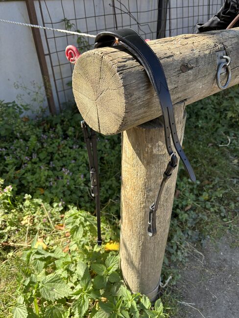 Bridlery Trense Leave, Bridlery, Anne-Maria Pehlke, Bridles & Headstalls, Krems an der Donau, Image 2