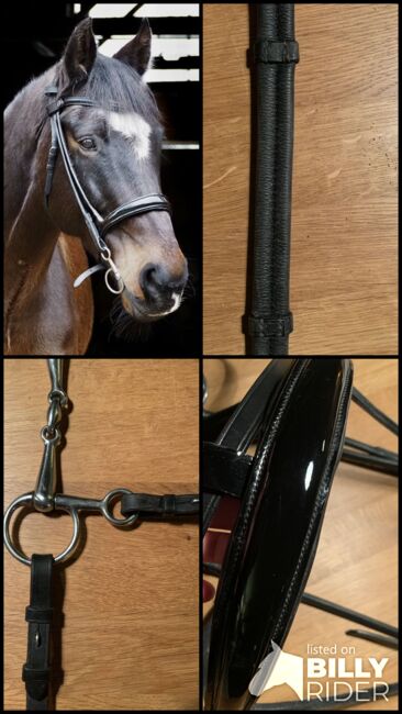 Bridlery Trense Classic, englisch, schwarz mit Lack-Nasenriemen, Bridlery Trense classic, englisch, Yvonne, Bridles & Headstalls, Hamburg, Image 5