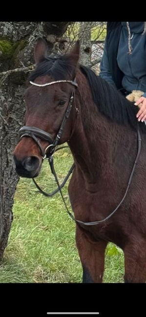 BRIDLERY Trense, BRIDLERY Design your Bridle Charm, Lisa-Sophie Fressle, Bridles & Headstalls, Staufen 