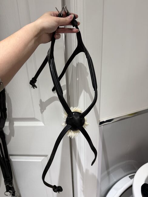 Bridles, black, Equiline & shires , Emily Smith, Other, Falkirk