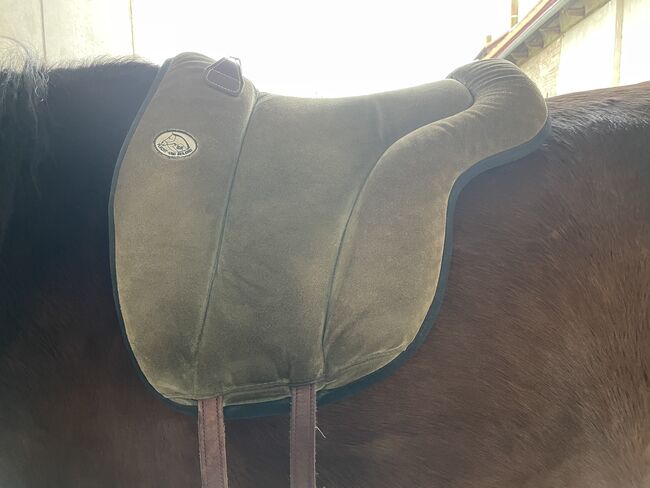 Brockamp Reitpad, Brockamp  Reitpad Spezial , Mareike, Andere Pads, Friedland, Abbildung 3