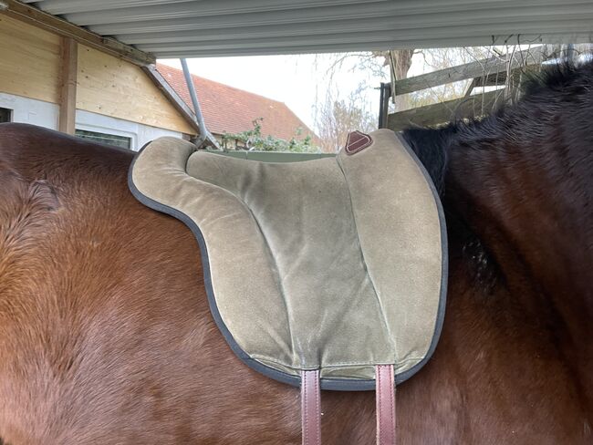 Brockamp Reitpad, Brockamp  Reitpad Spezial , Mareike, Andere Pads, Friedland