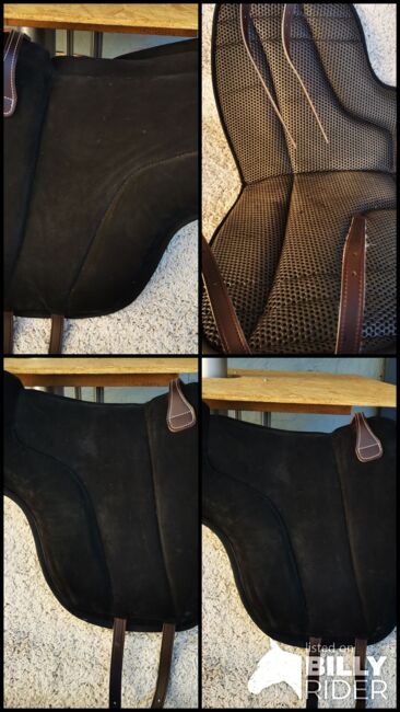 Brockamp Spezial Reitpad WB Erwachsene Schwaru, Brockamp  Reitpad Spezial WB Erwachsene , Jana, Reitpad, Frankenberg, Abbildung 7