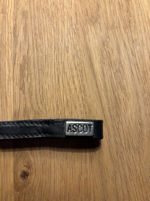Stirnriemen schwarz, Ascot, Kate, Browbands, Vlotho , Image 3