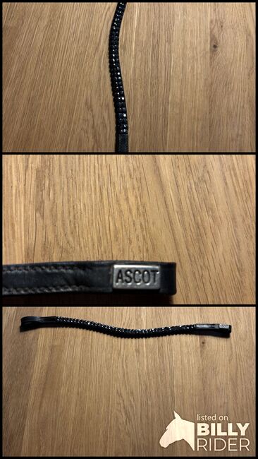 Stirnriemen schwarz, Ascot, Kate, Browbands, Vlotho , Image 4