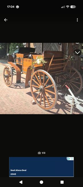 Hochzeitskutsche, Rhea Heine, Carriages, Schüttorf