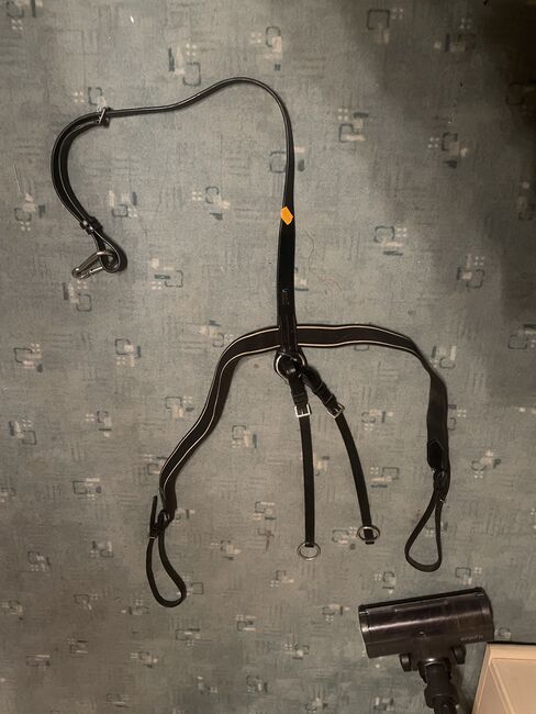 Vorderzeug, 4 horses, Leonie Ertl, Saddle Accessories, Amberg