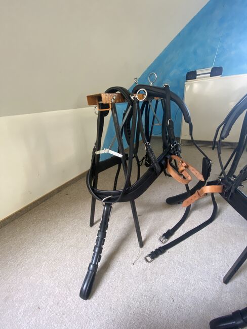 Zweispänner Brustblattgeschirr, Brustblattgeschirr , Karla Prokop, Horse Harness, Bad Oldesloe , Image 3