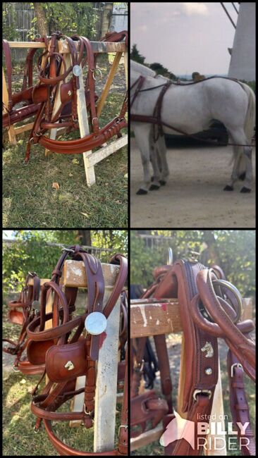 Zweispänner Brustblattgeschirr, Jennifer Böck, Horse Harness, Zellerndorf, Image 6